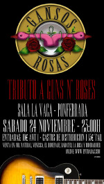 Cartel Gansos Rosas