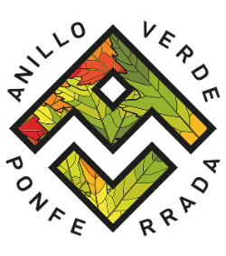 LOGO-ANILLO-VERDE-PONFERRADA-COLOR-1