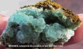 Exposición Fósiles y Minerales del Bierzo