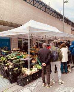 Mercado 1