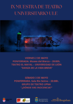 Cartel IX Muestra - Ponferrada