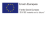 Fondo Social Europeo.jpg