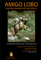 Amigo Lobo