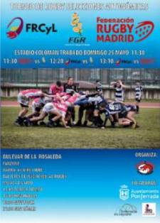 Cartel Plataforma Rosaleda