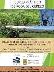 Curso poda cerezos 2022 cartel p