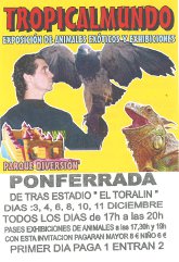 Tropicalmundo. Exposición de animáles exóticos y exhibiciones