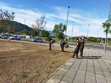 Trabajos-2-p