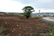 20191009_Castano02