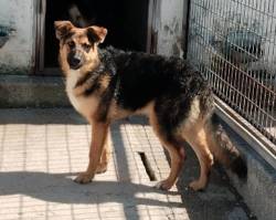 lila pequeña