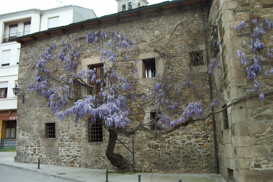 Casa de los Escudos